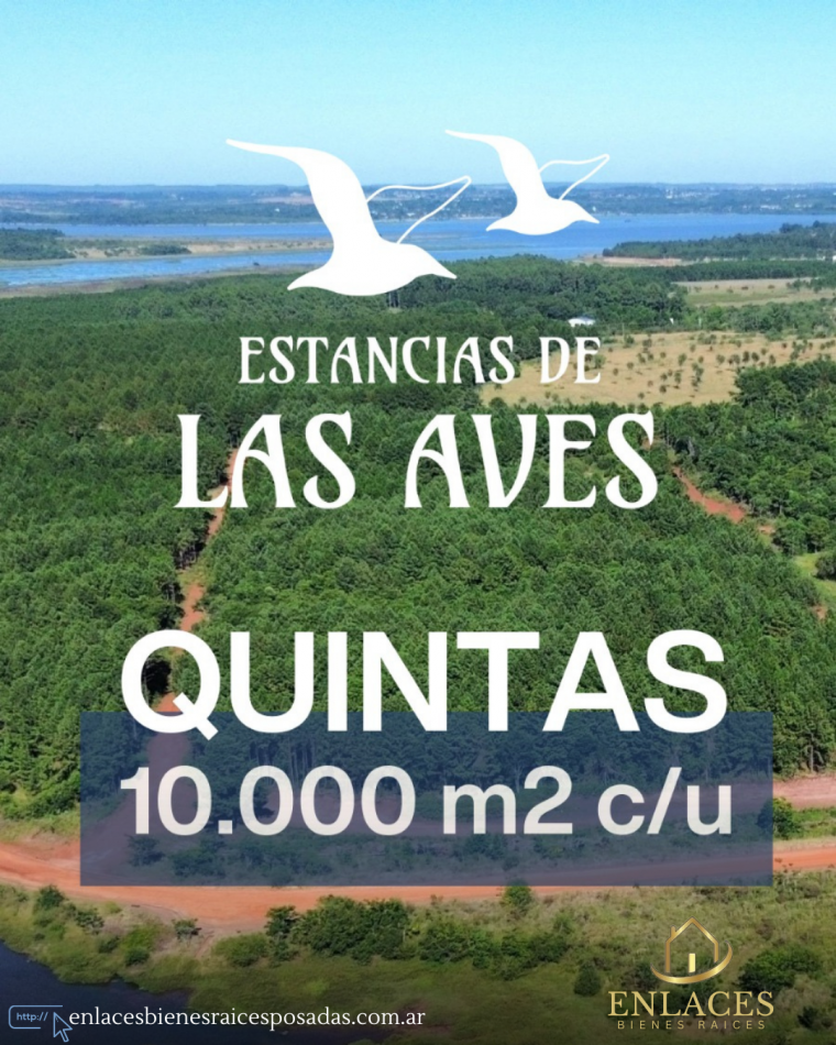 LOTES DE 10.000 M2 EN VENTA EN CANDELARIA